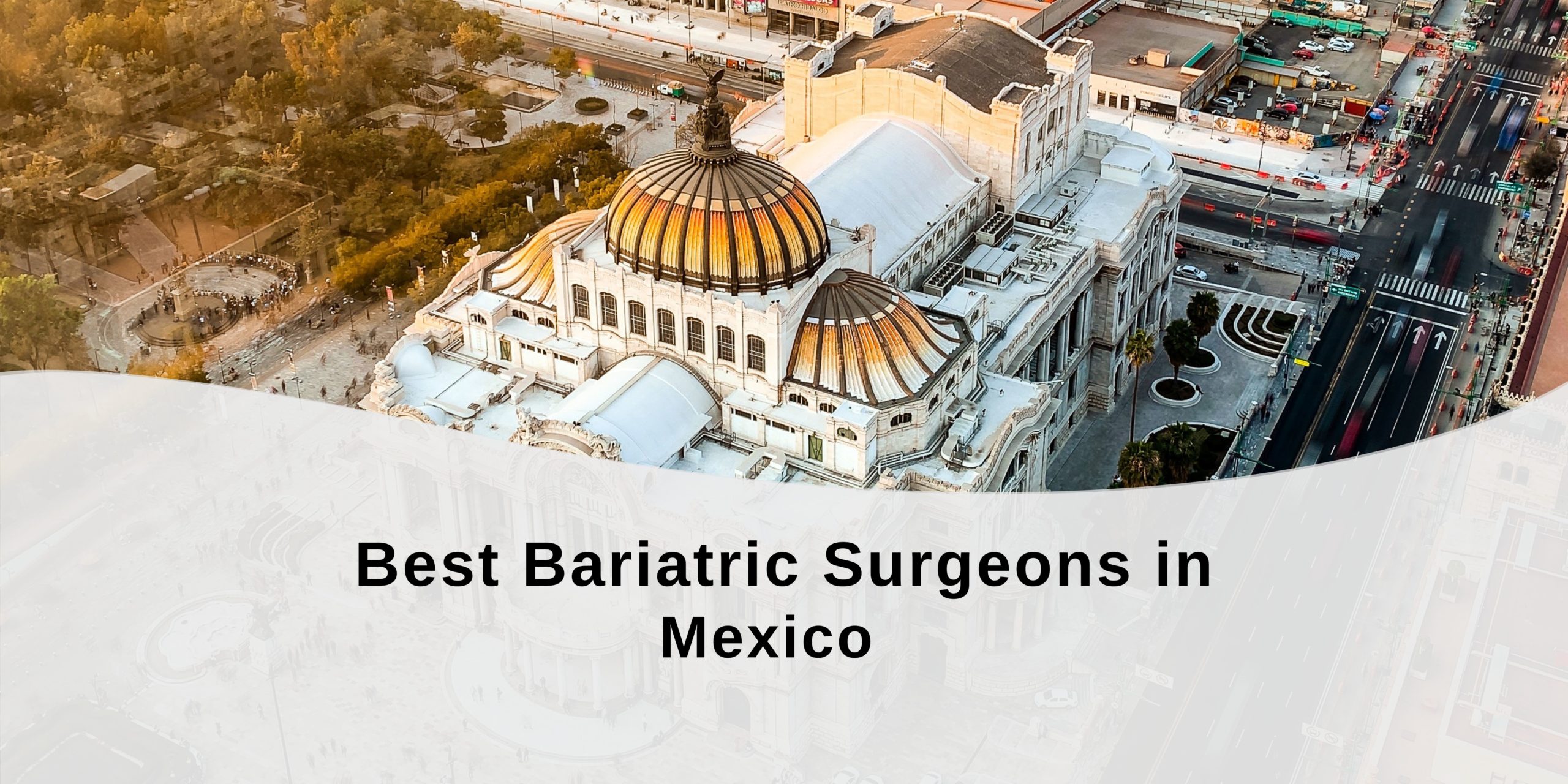 Best Bariatric Surgeons in Mexico