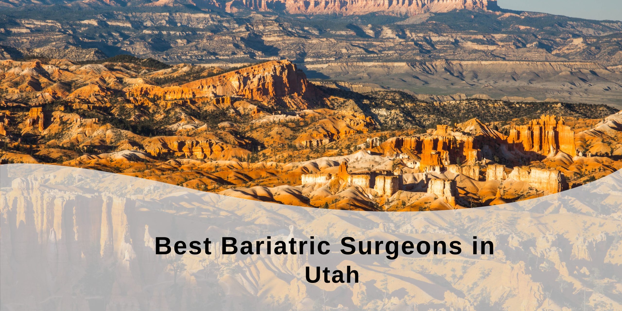 Best Bariatric Surgeons in Utah