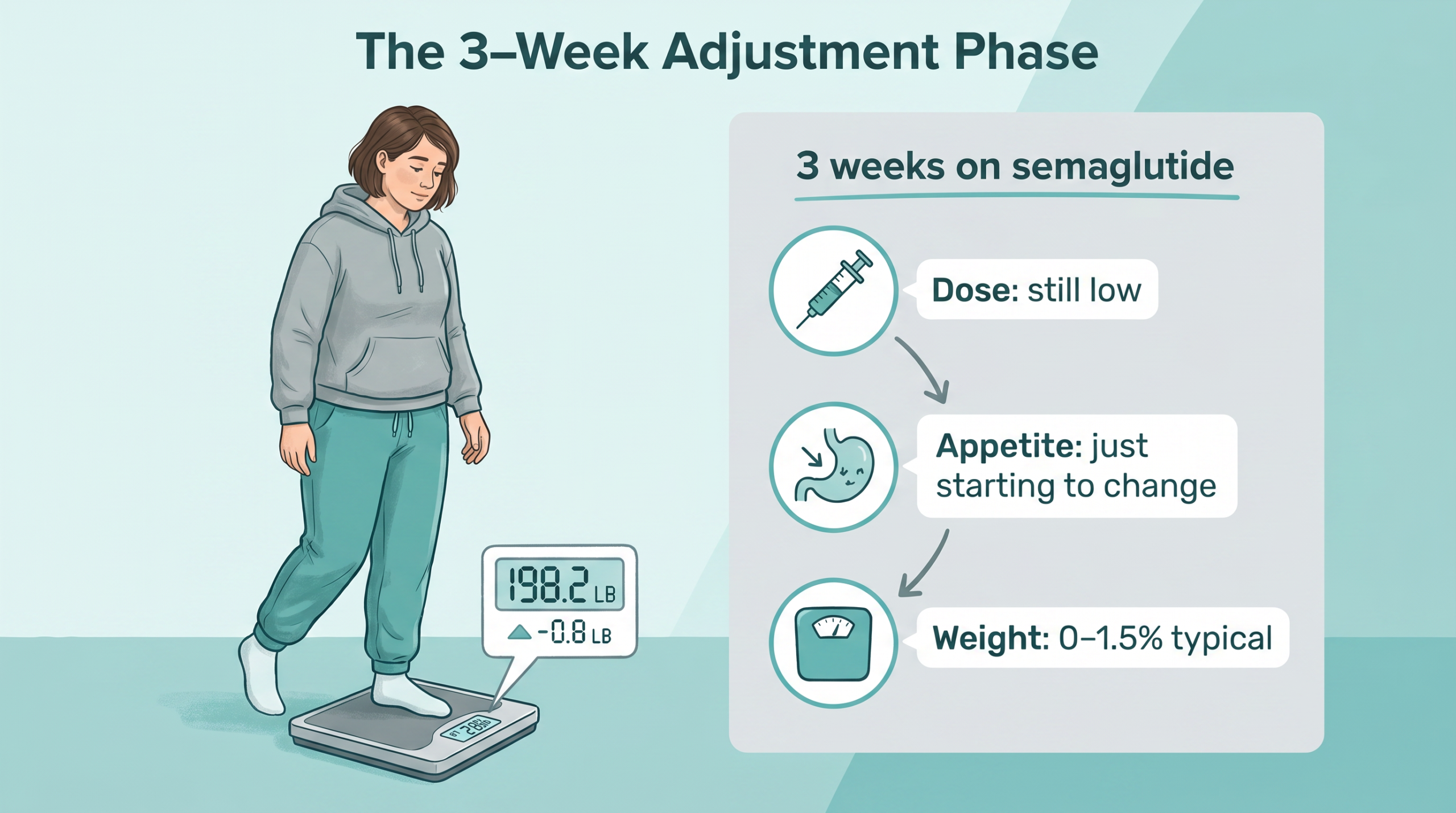 3 Weeks Adjustment Phase